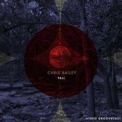 Chris Bailey - Ayeko Groovecast - Fall 2013