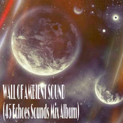[45E-025] Various Artists - Wall Of Ambient Sound