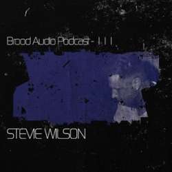 Stevie Wilson - Brood Audio Podcast 111