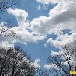 [CFM054] Various Artists - Light Clouds