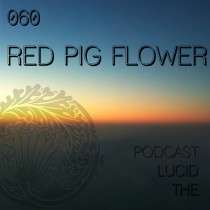 Red Pig Flower - The Lucid Podcast 060