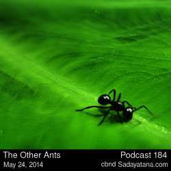 [Sadayatana 184] The Other Ants