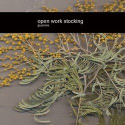 [enrmp214] Open Work Stocking - Guanine