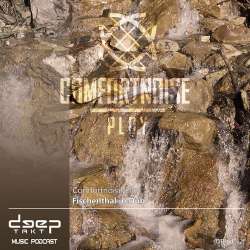 [dtpod012] Comfortnoise Ploy - Fischenthal in Dub