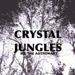 [OMREC2] Me The Astronaut - Crystal Jungles