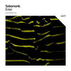 [mK77] Sobamonk - Enter