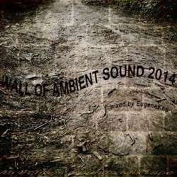 [45E035] Various Artists - Wall Of Ambient Sound 2014