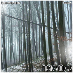 [deepx071] Gadel Khaertdinov - Magic Wood EP