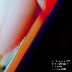 [pertin​-​nce_053] Various Artists - Dom Dumoulin & Bleupulp