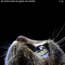 [Mixotic 178] X.V.P. - De noche todos los gatos son pardos