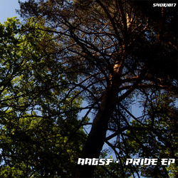 [shoki017] AAGSF - Pride EP