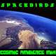 Spacebirds Cosmic Ambience Mix