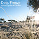 Deep Freeze 