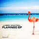 Flamingo EP