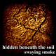 Hidden Beneath the Soil