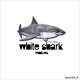 White Shark Remixes