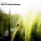 Flora & Fauna Remixes